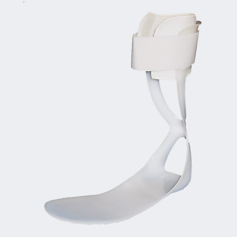 Molla di codivilla