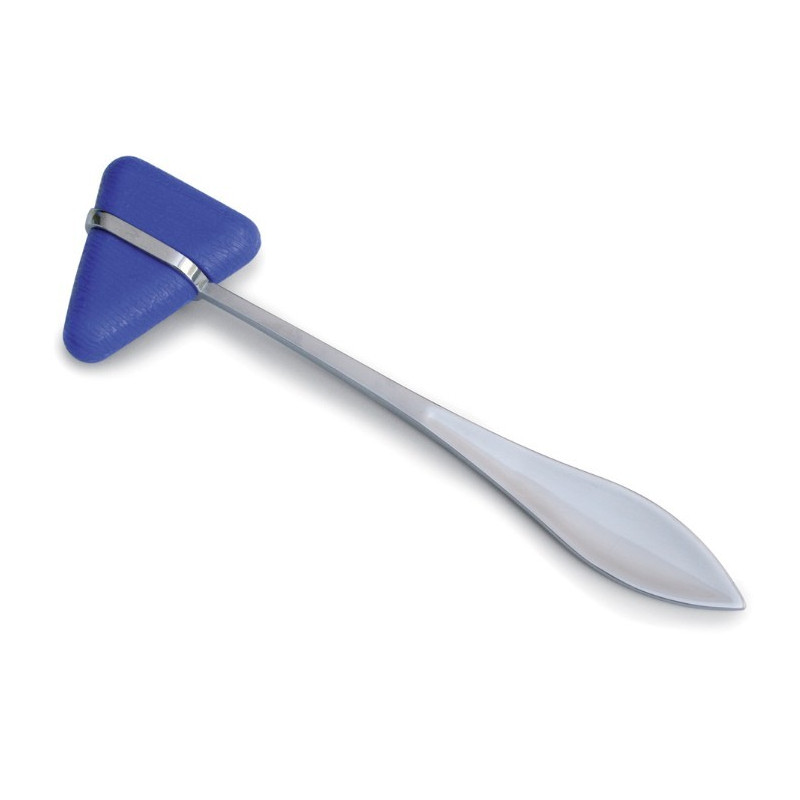 Martello Neurologico Di Taylor