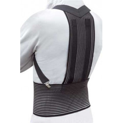 Raddrizzaspalle Jody